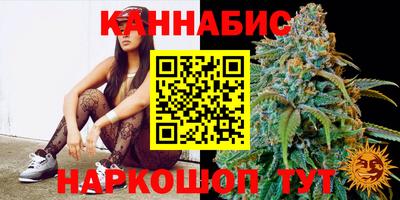 МДПВ Рыбинск