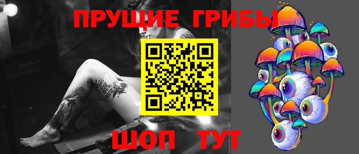 Ртищево  Псилоцибиновые грибы GOLDEN TEACHER  где купить наркоту  Вход с VPN  Галлюциногенные грибы мухоморы 